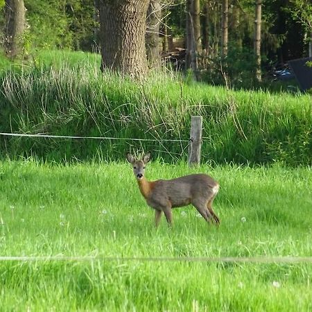Charmante Ferienwohnung In Idyllischer Lage Jever Eksteriør bilde